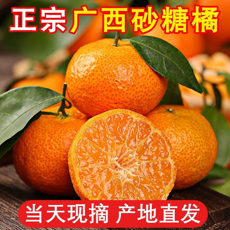 【桂林产区直发】正宗广西砂糖橘现摘先发皮薄小橘子应季水果