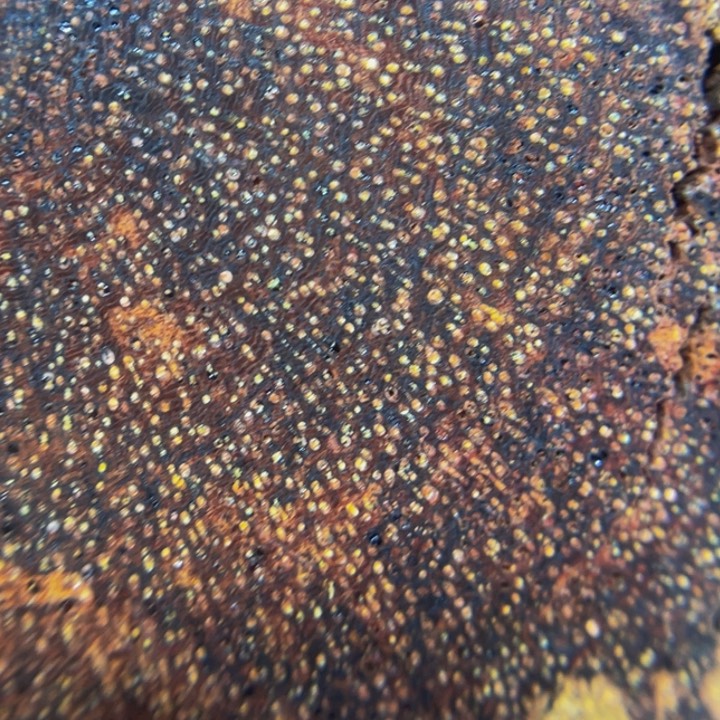 降真香手串/手链定制缅甸小叶降真香