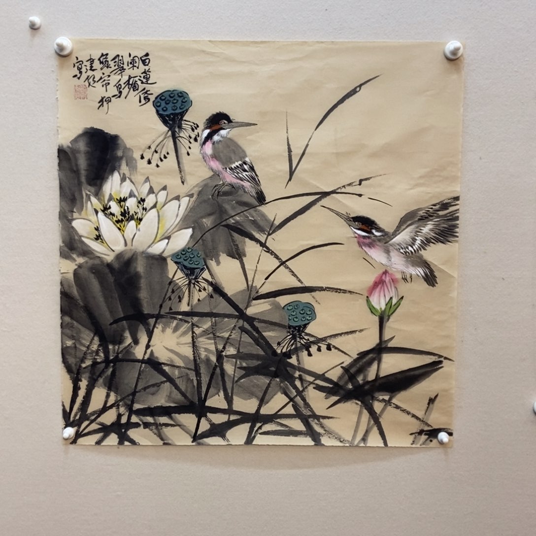 【闪购商品】国画V****梵墨鱼精品墨鱼精品