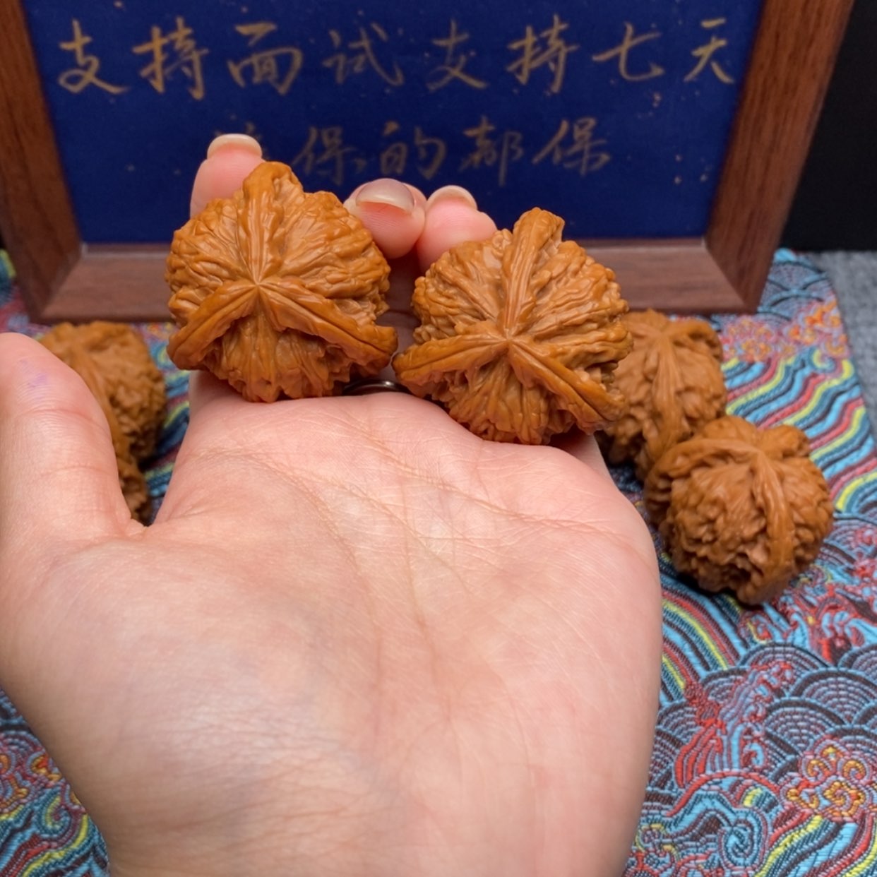 【闪购商品】我***子白狮