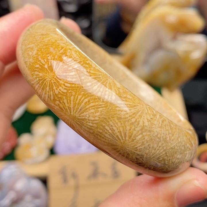 硅化珊瑚（珊瑚玉）手镯未镶嵌51