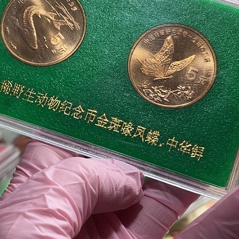 其他普通金属鲟蝶大版人行绿色
