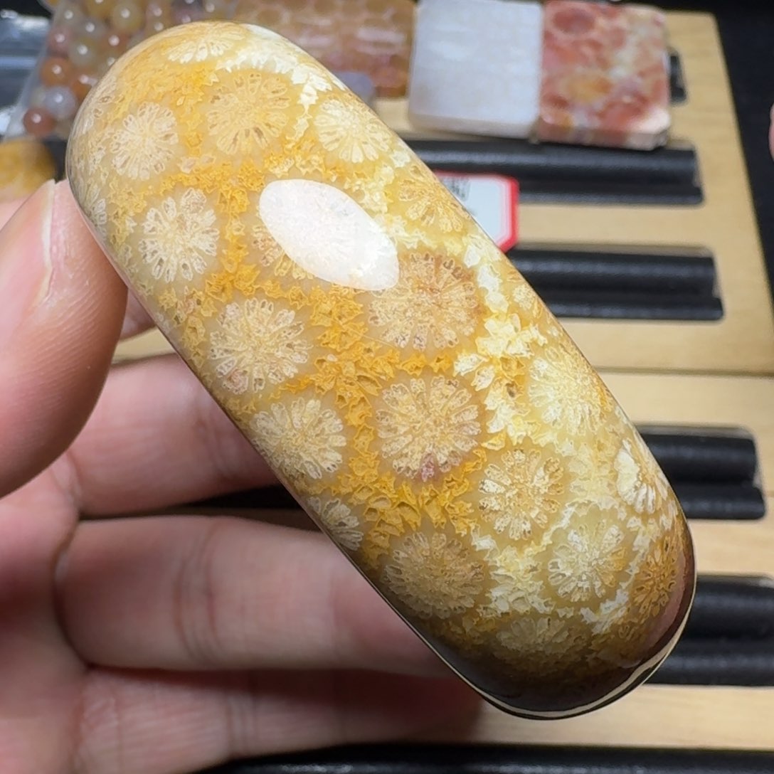 硅化玉纯天然色有机玉石未镶嵌53.5圈口