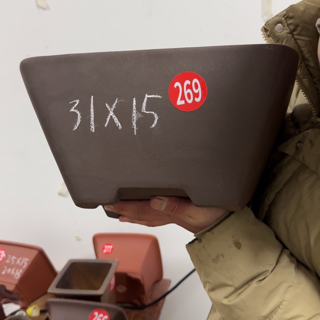 紫砂花盆呜呜呜呜