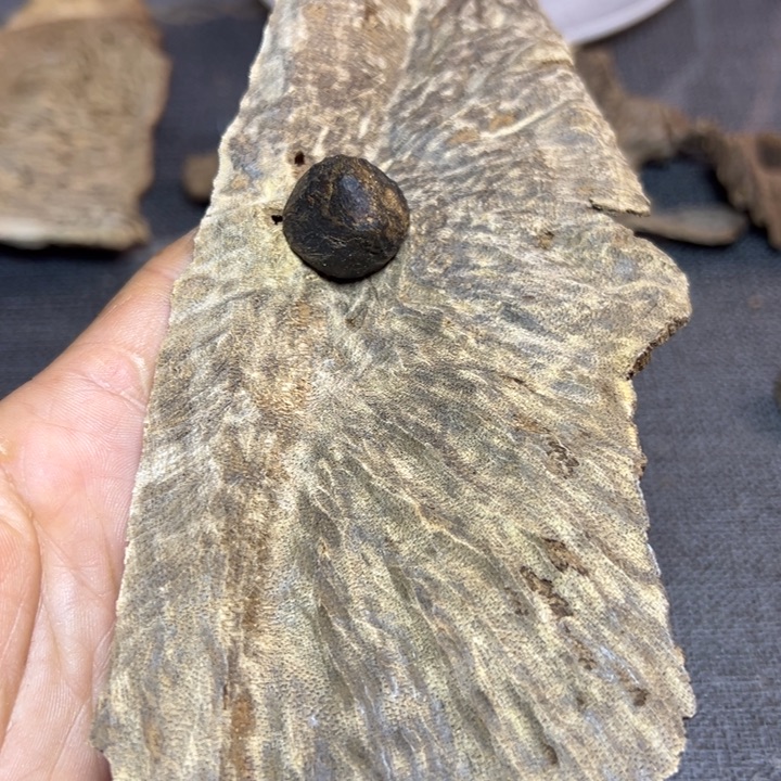 果***趣沉香沉香碎屑沉香老头17.8克