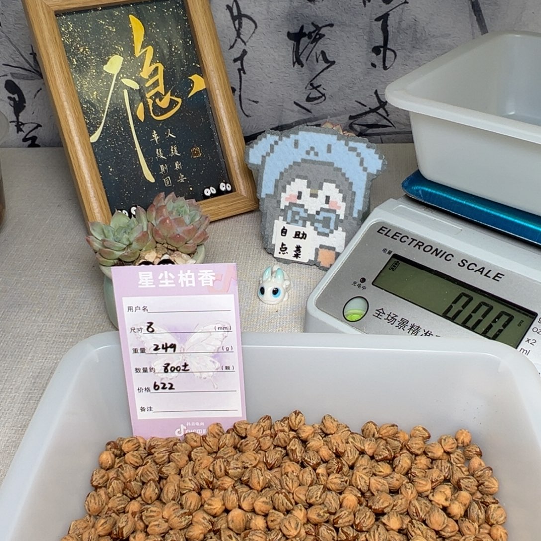 小****柏香籽/百香籽吊坠