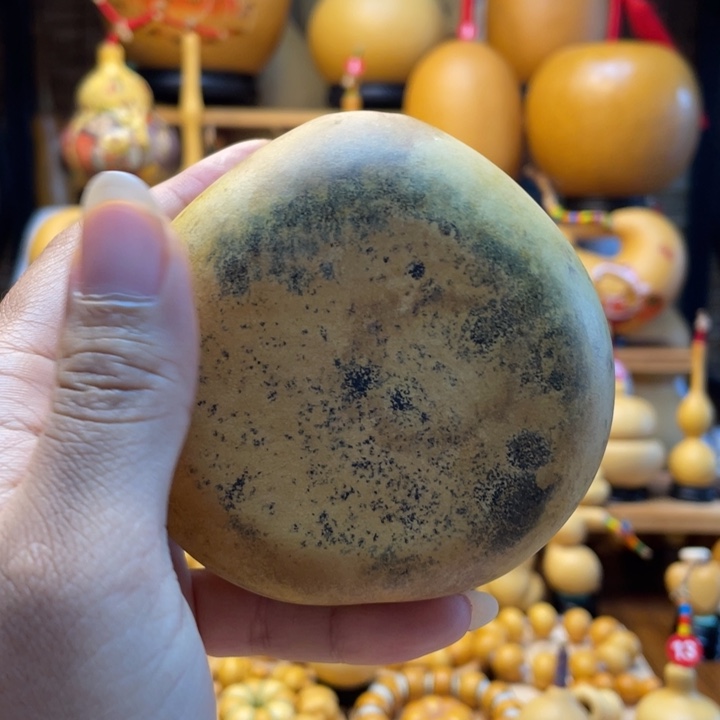 ****安天然葫芦自然生长