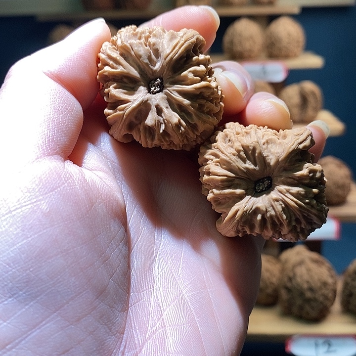 ʚ***ɞ南将石文玩核桃37