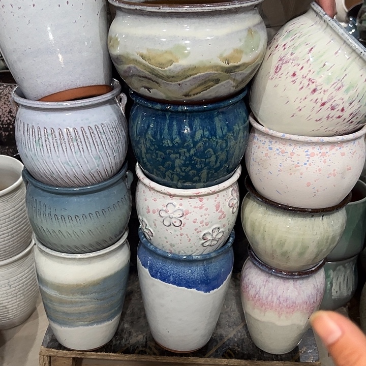 12个啦啦花盆福利花盆