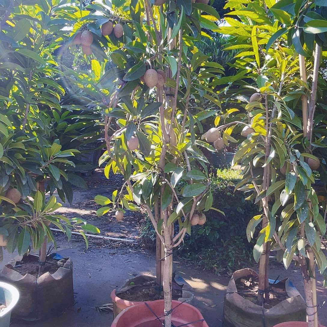 完全开放周*民88888888888