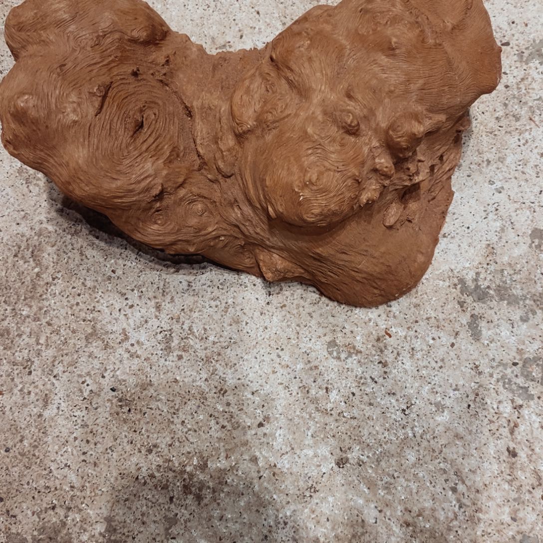 滇***烫荔枝木随形木材一个