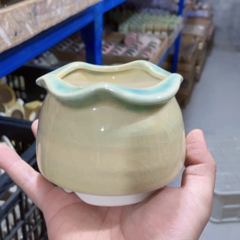 红陶订单凑满12包邮