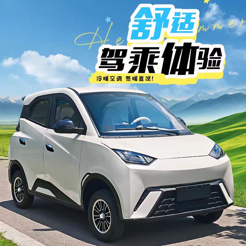 电动四轮车海鸥新款锂电池新能源封闭电动车新能源电动车厂家直销