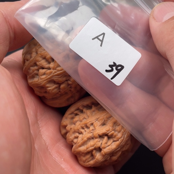 文玩核桃吊坠y****。红锦鲤43