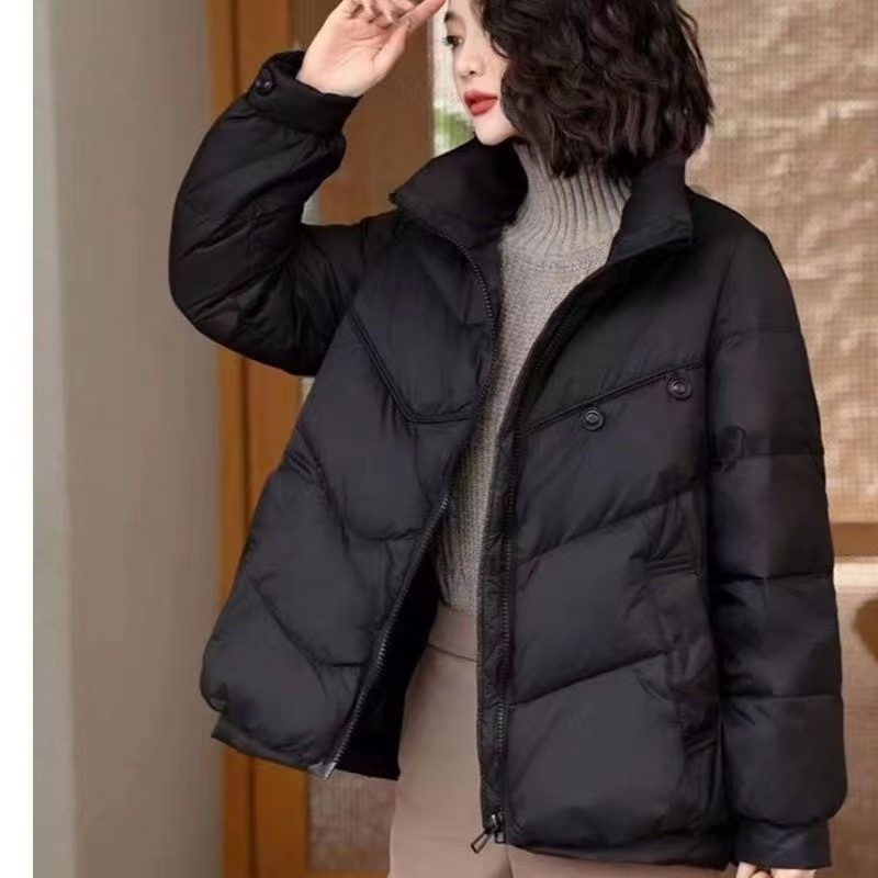 时尚立领两粒扣白鸭绒羽绒服