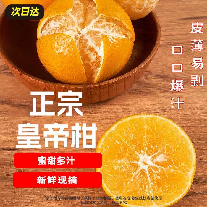 Y1【京东次日达】正宗皇帝柑新鲜现摘皮薄肉厚多汁当季水果广东省