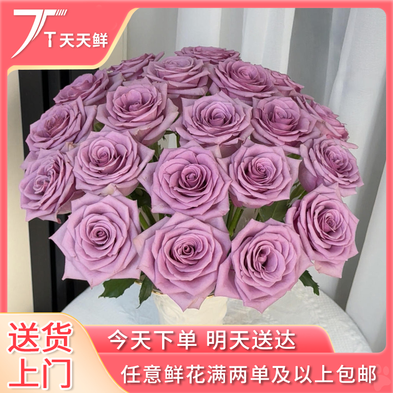 顺丰次日达【 18支 紫霞仙子 】今日下单明日到达（两单顺丰包邮）