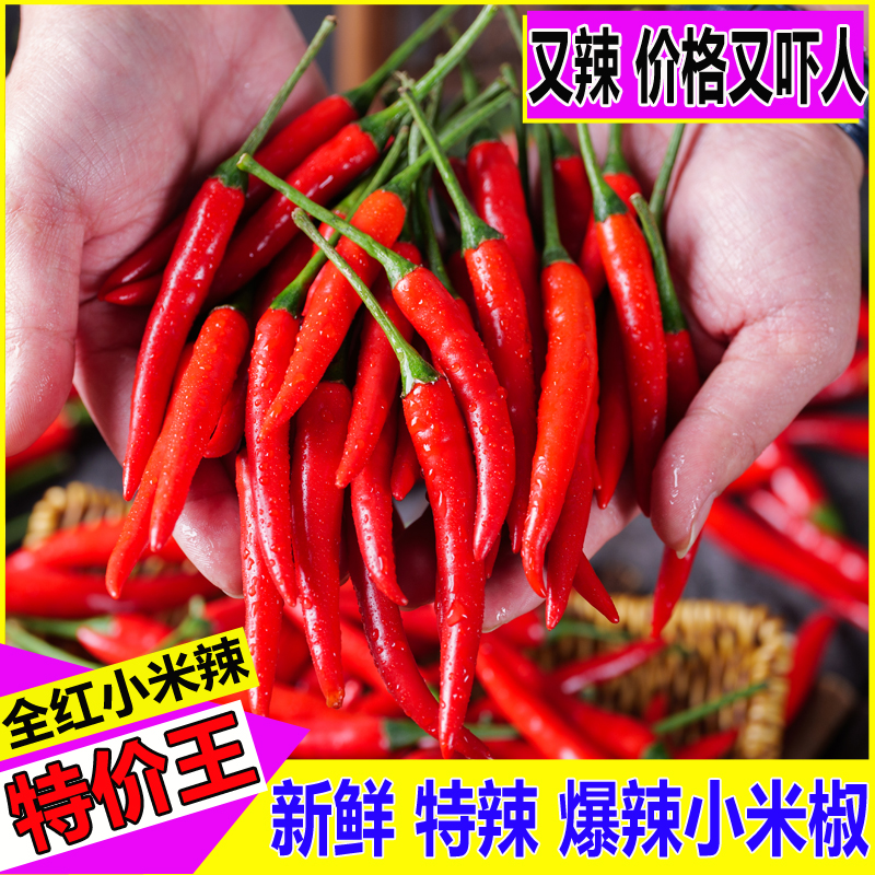 高山种植餐饮蔬菜批发辣椒新鲜现摘特辣小米椒朝天椒红椒泡椒剁椒