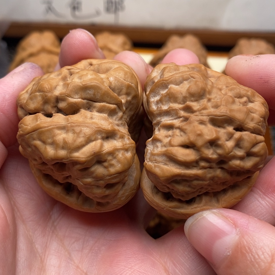 文玩核桃把件四开背边43左右