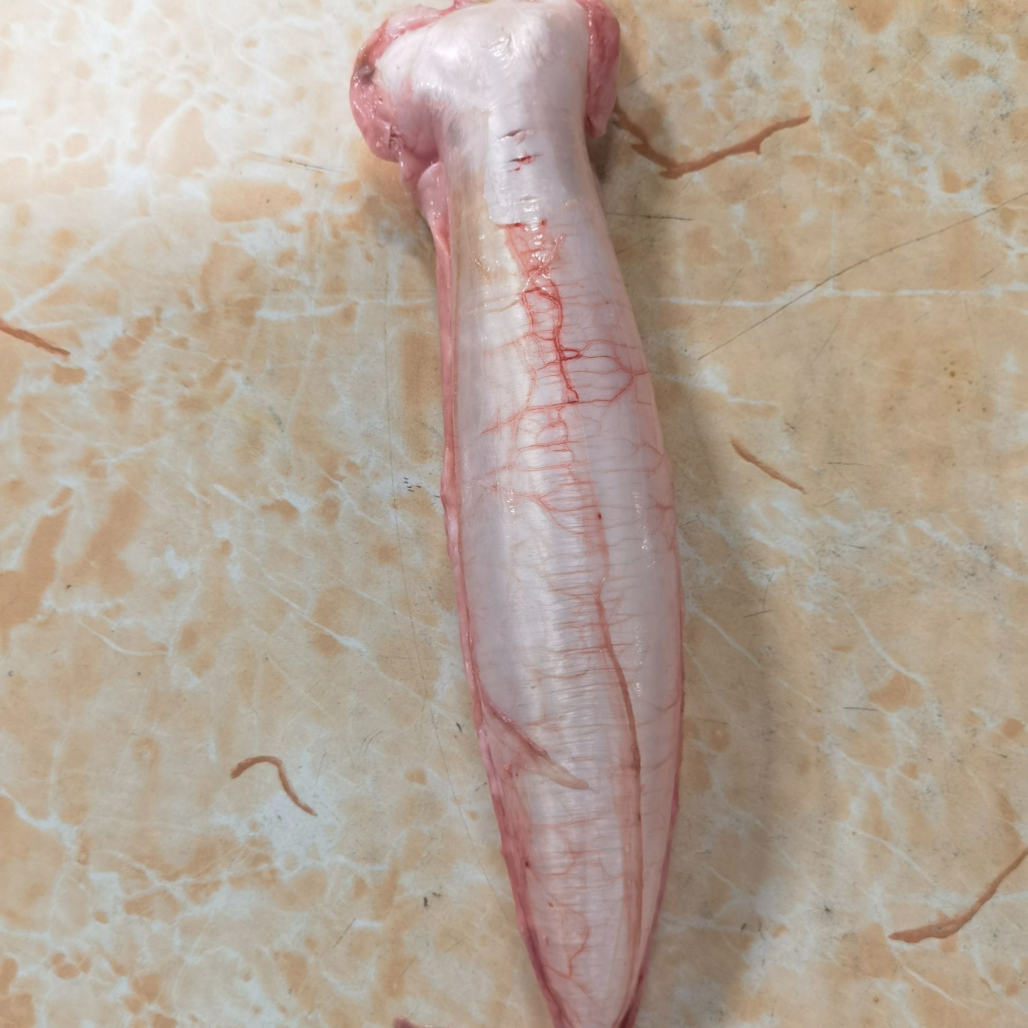 赤嘴鳘鱼胶 正宗花胶圆筒放气抽真空明亮厚实顺丰包邮