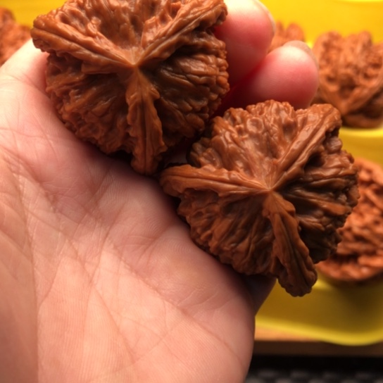 A***杨核桃核桃核桃核桃