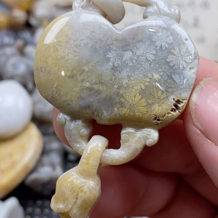 颈饰未镶嵌硅化珊瑚（珊瑚玉）有瑕