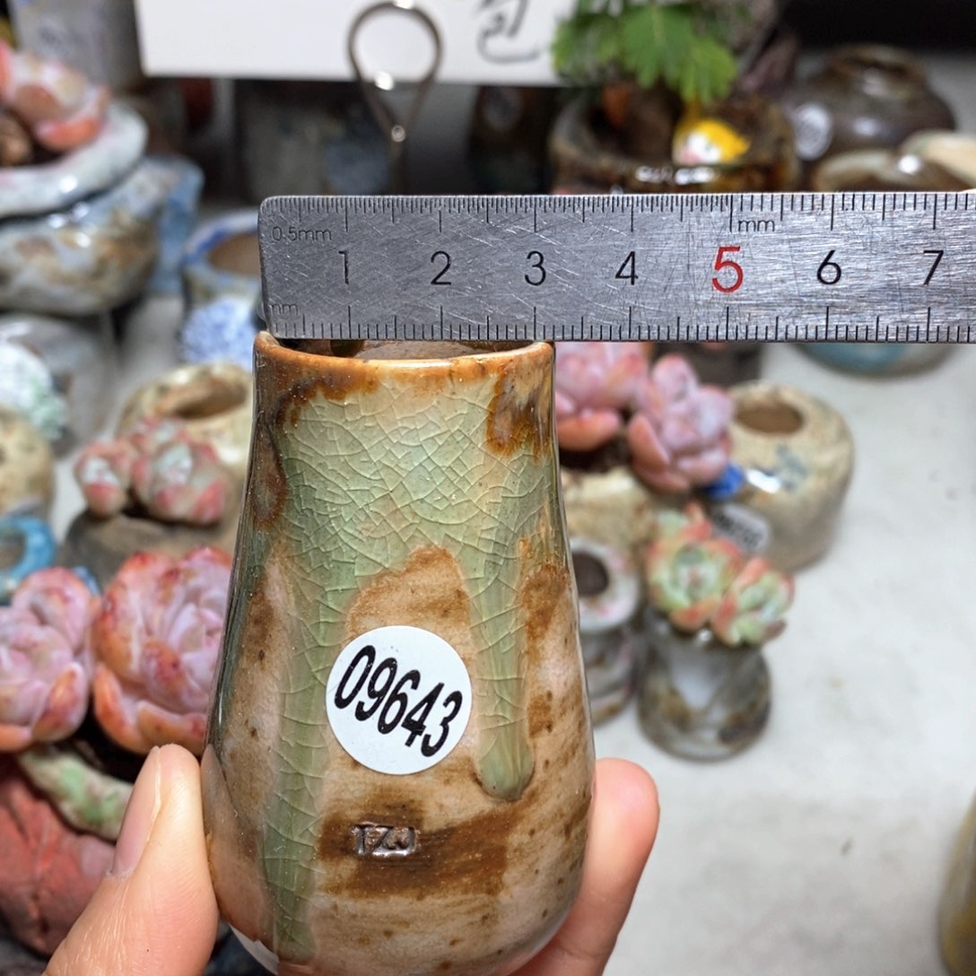 花盆拍5送一个小礼物