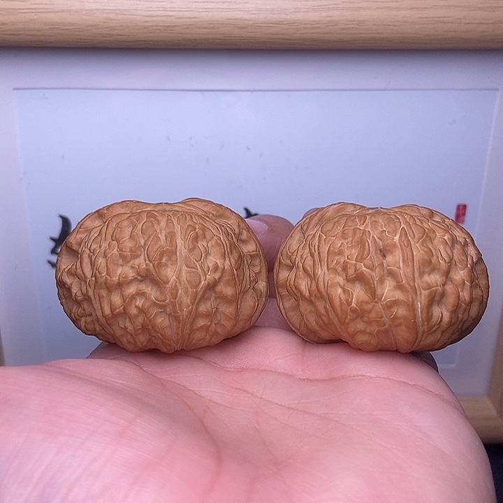 依***仑核桃全品大尺闷白