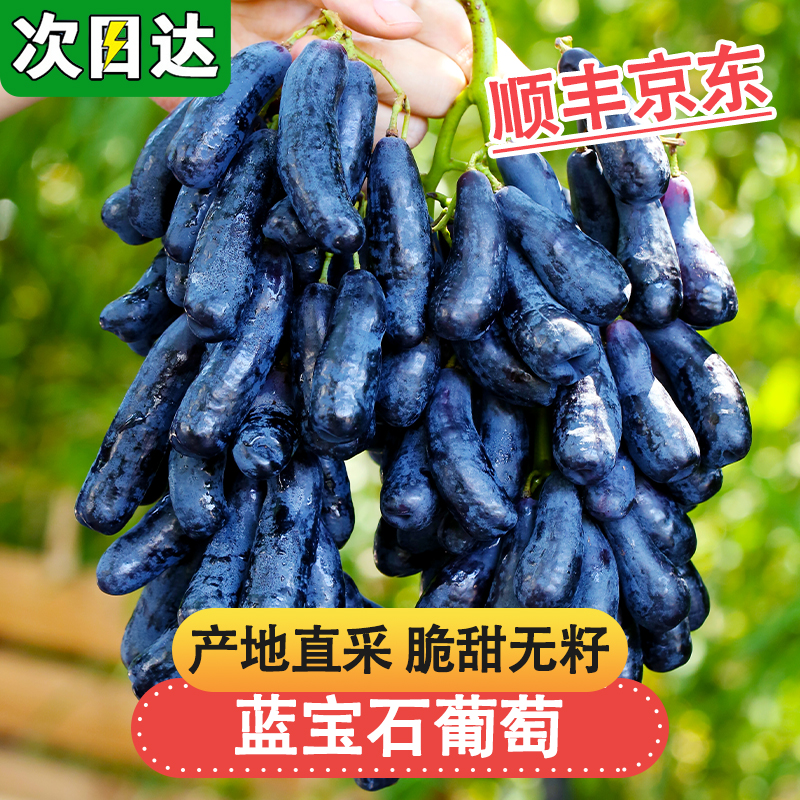 8-13日现货明日达【基地直采】LM云南蓝宝石葡萄新鲜当季水果金手指无籽黑提0.5-4斤云南省