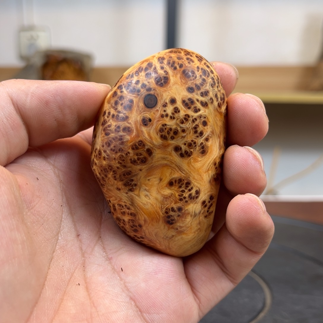 柏木（崖柏）v bvv b v b n j j