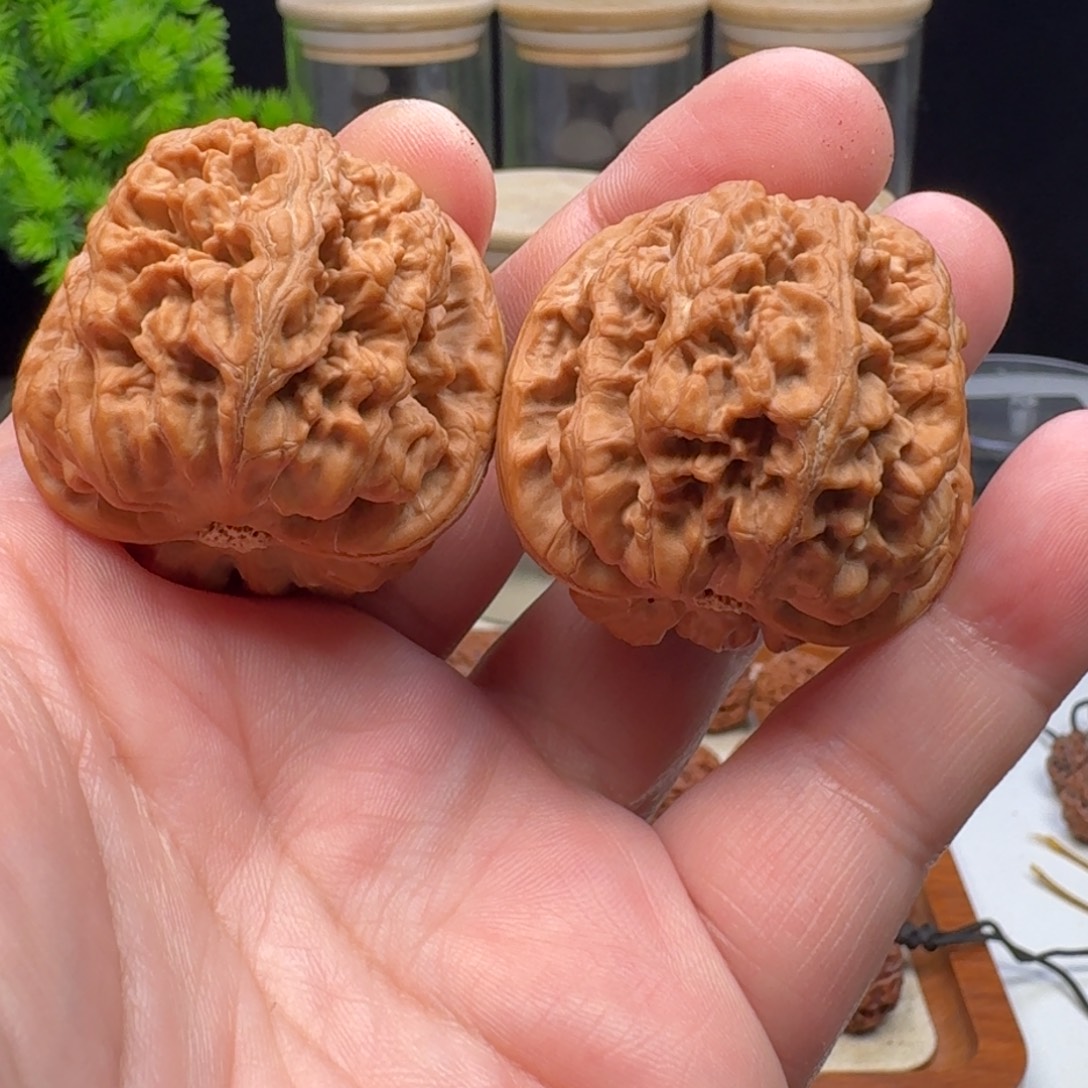 墨***缘金刚菩提手串球筋