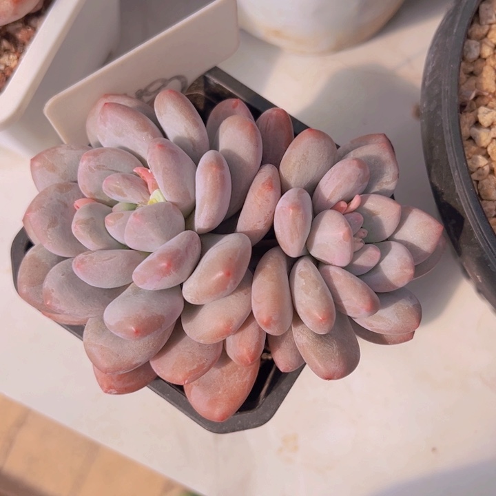 健健康康平平安安