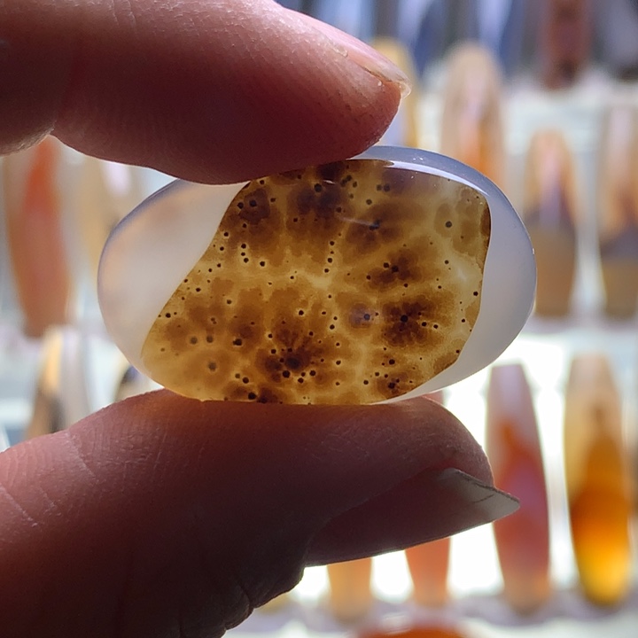 玛瑙/玉髓颈饰未镶嵌202