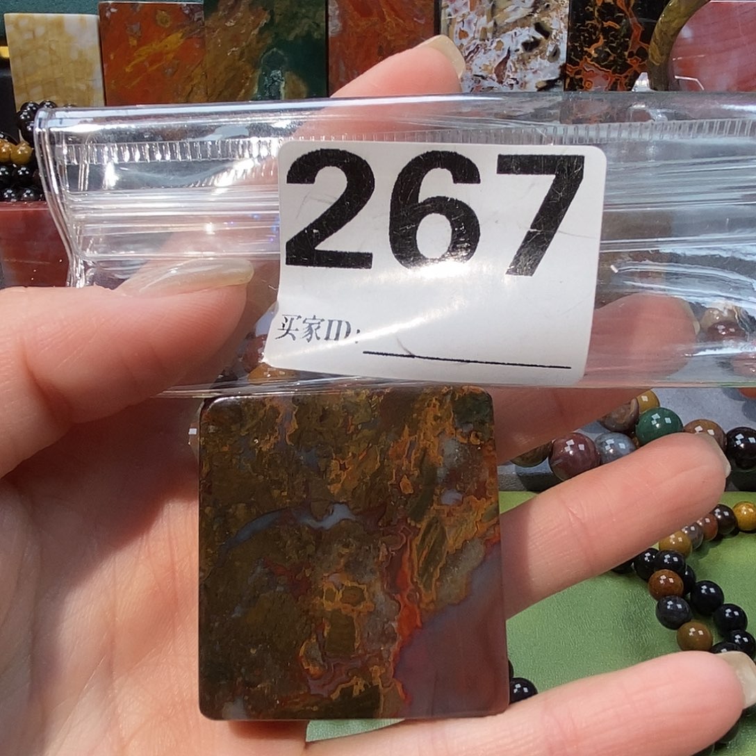 未镶嵌天然北票树化玉吊坠硅化玉