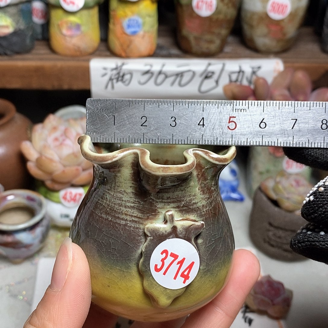 红陶拍5送一个小