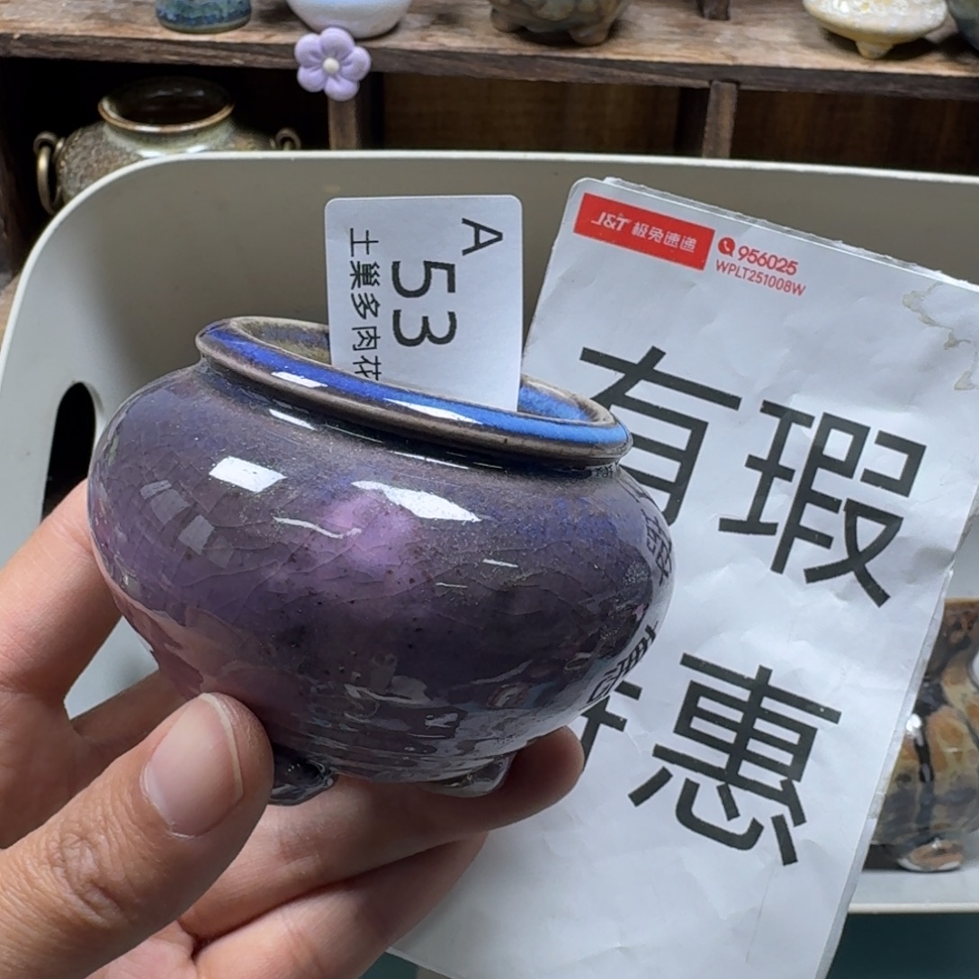 c***o陶瓷艺术品设计与制作