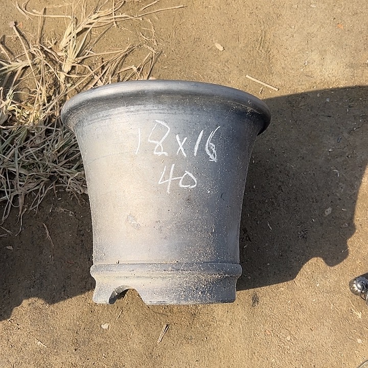 放漏矮金钟口径18高度16