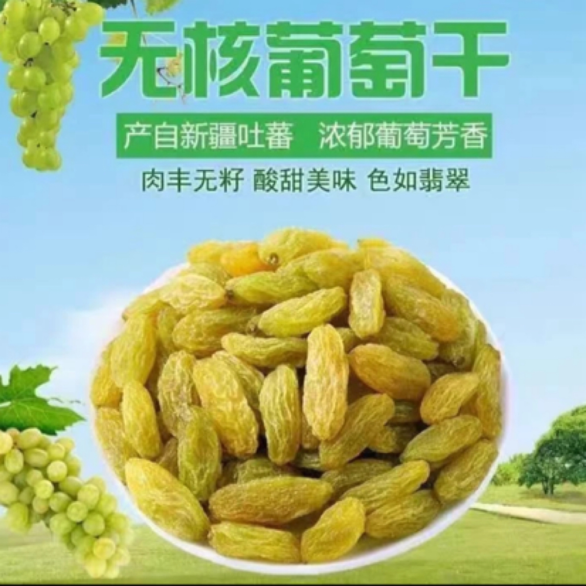 【到手一斤】新货新疆葡萄干吐鲁番特产无籽无添加大颗粒糖果干果