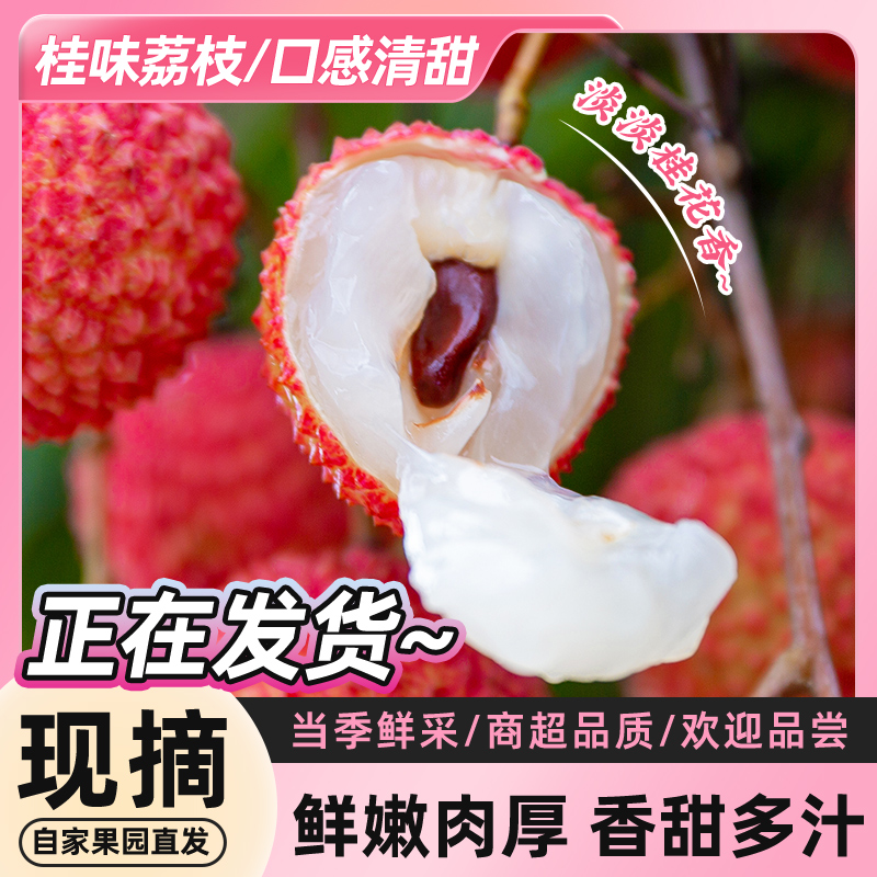 现货【顺丰包邮】广东茂名高州桂味荔枝新鲜现摘当季水果普通装DGL