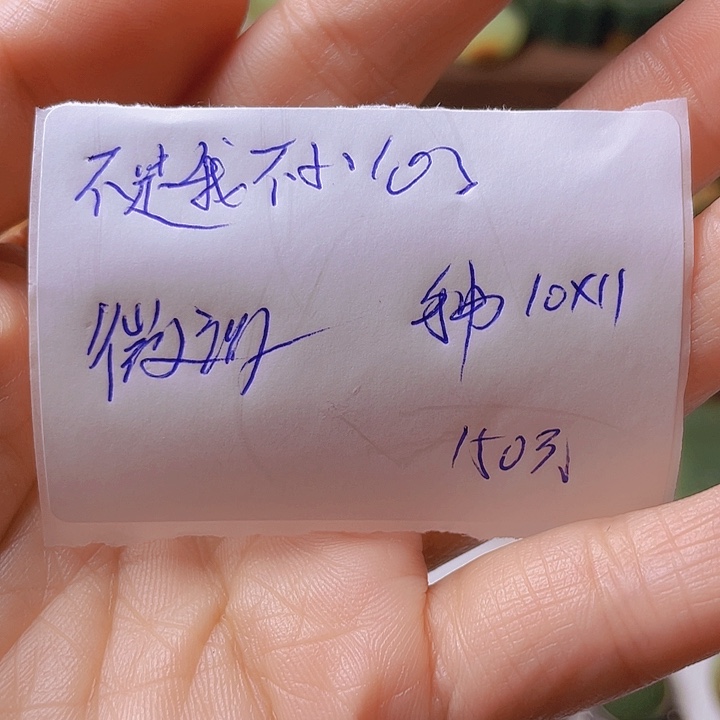 未镶嵌手镯岫岩河磨玉（透闪石质玉）不****心