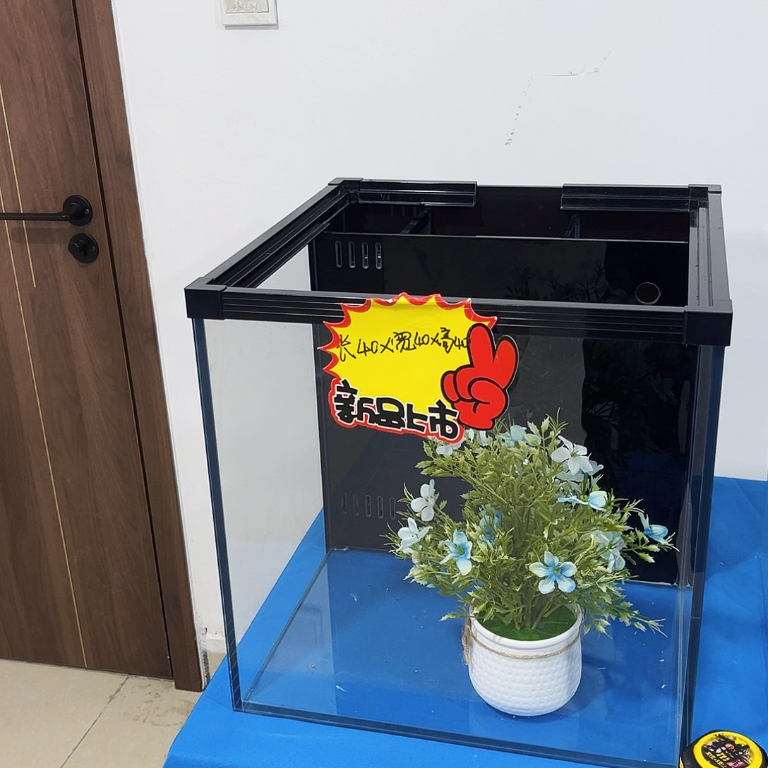 玻璃404040背全套