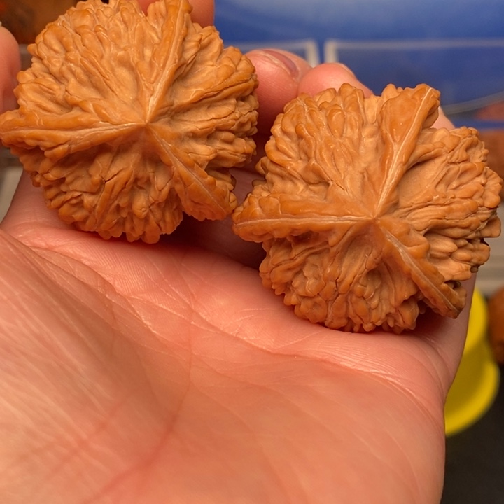 吊坠文玩核桃单**L文山本