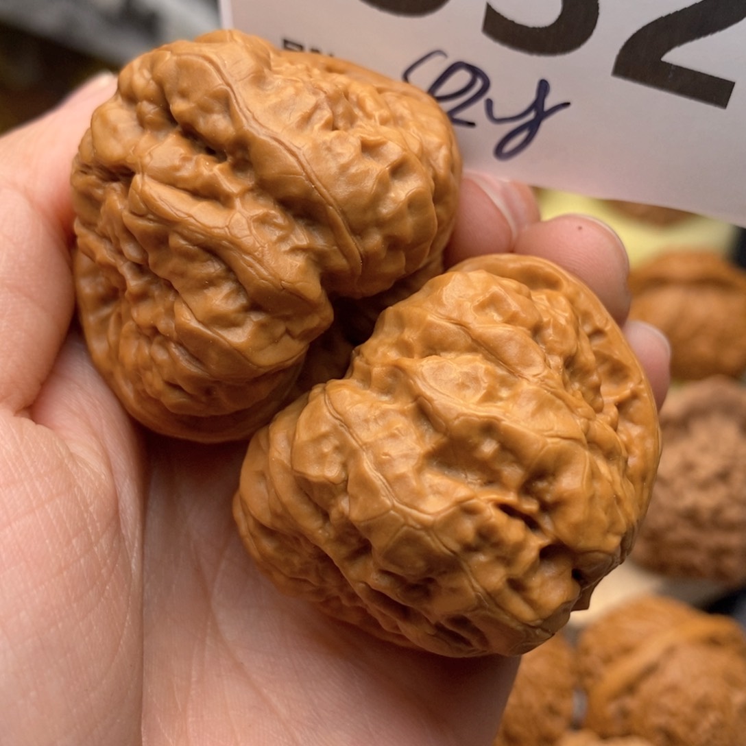 文玩核桃把件532咖喱42.5蛙