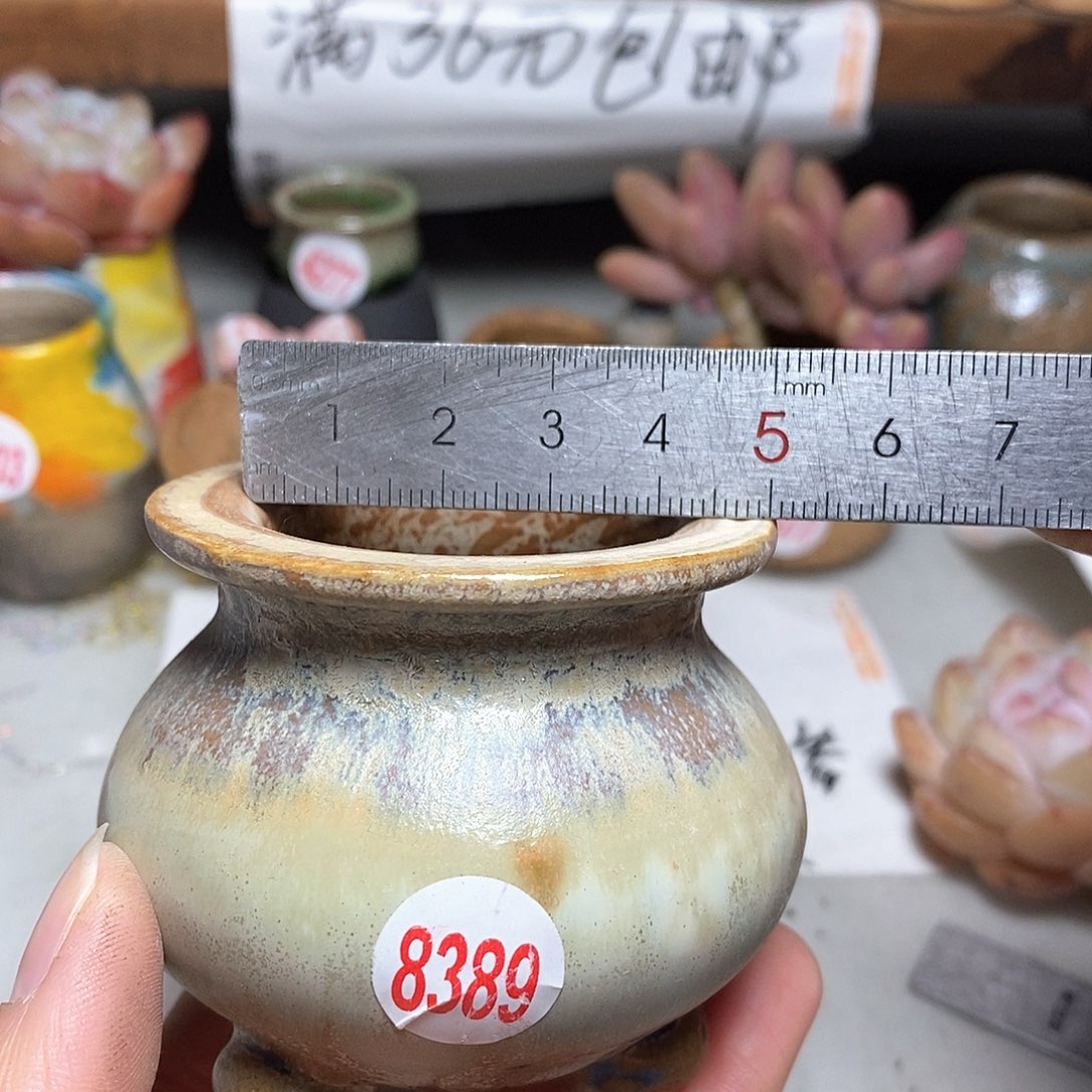 红陶拍5送一个小