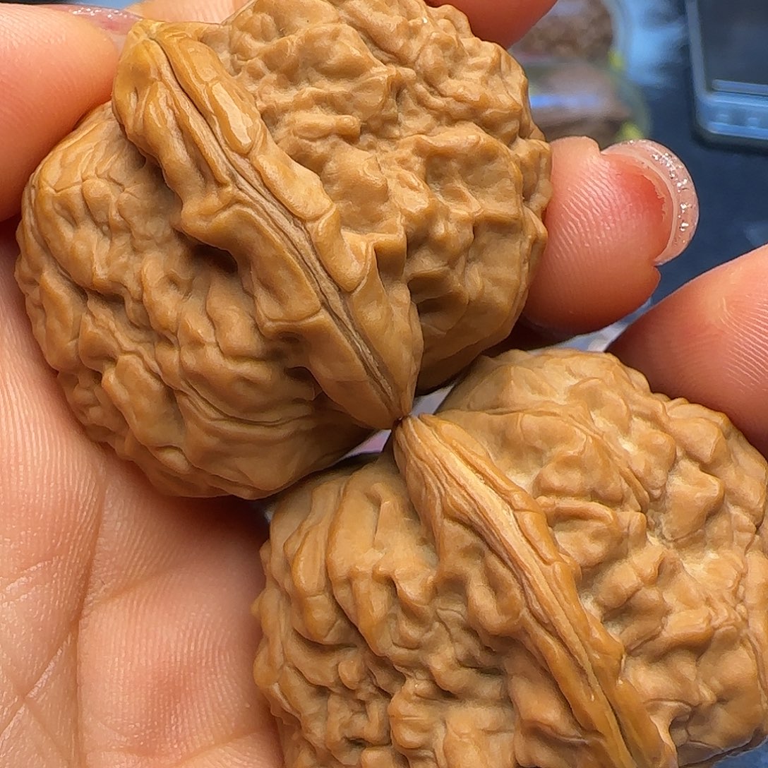 成***成吊坠文玩核桃魔蟾➕打底