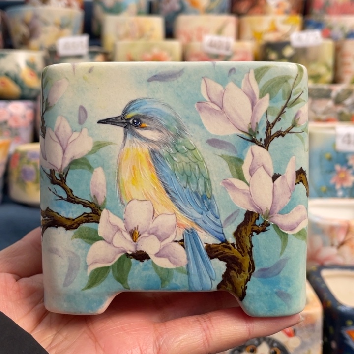 方块玉兰小鸟精致