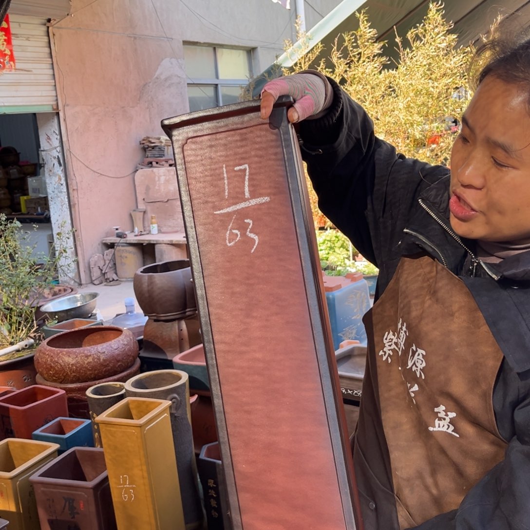 花盆紫砂盆景艺术