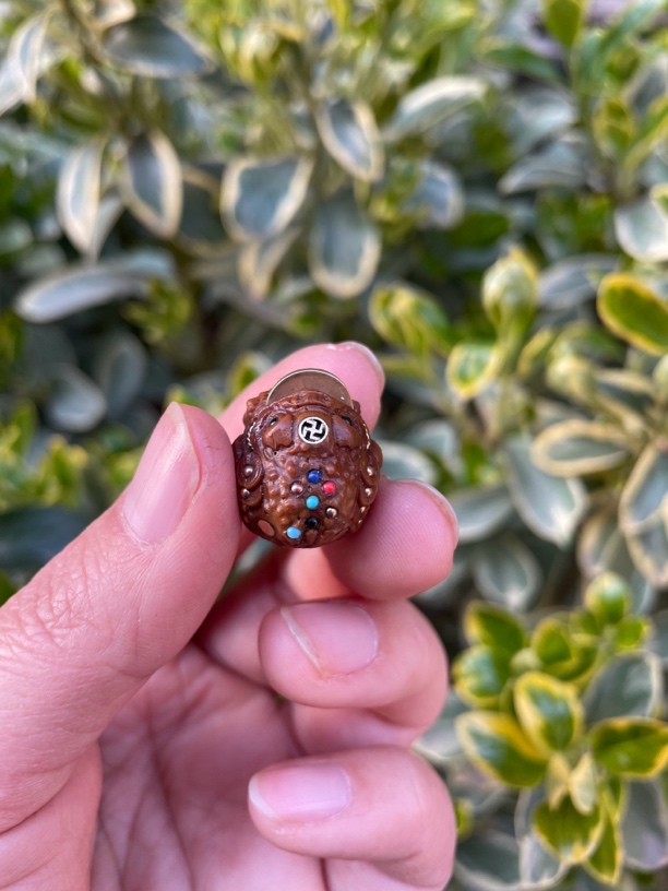 紫金鼠雕刻镶嵌七彩金蟾单籽（14+~18+尺，拍下备注不备注默认发18+