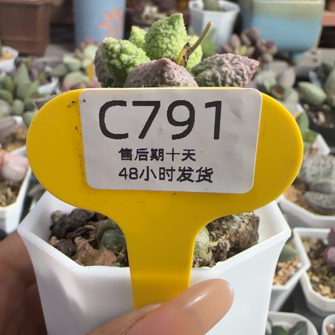 十***三补差价 古稀 小换大。 791