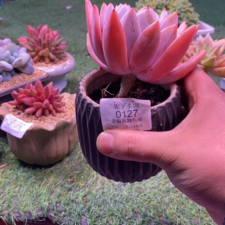 ╰***姐0127啊啊啊啊啊啊啊啊啊啊啊啊